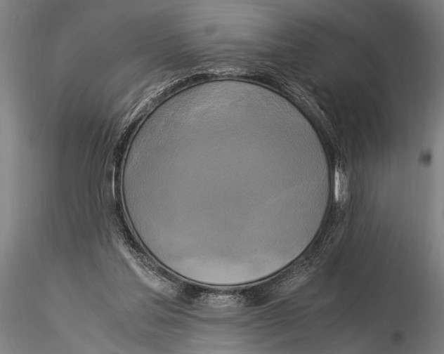 X0000116020205200912111400