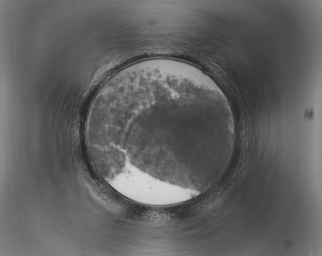 X0000116020207200912111400