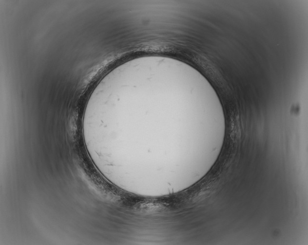 X0000116020208200912111359