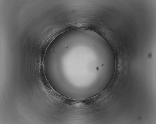 X0000116020210200912111359