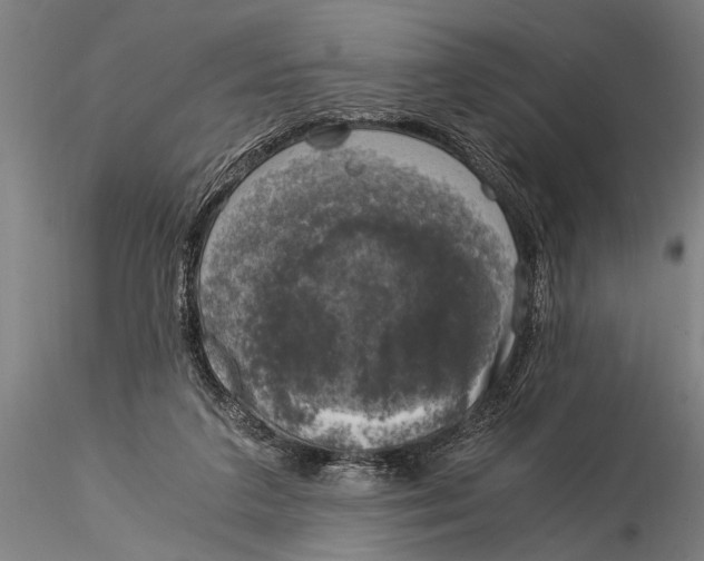 X0000116020211200912111359