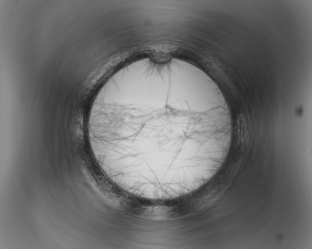 X0000116020212200912111359