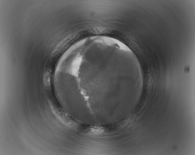 X0000116020214200912111359