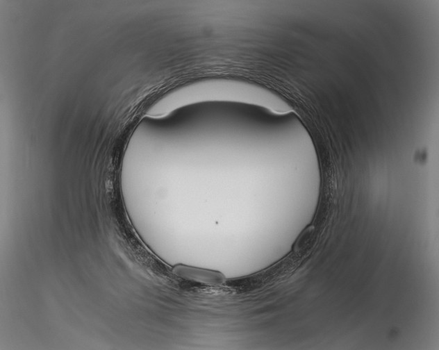 X0000116020215200912111359