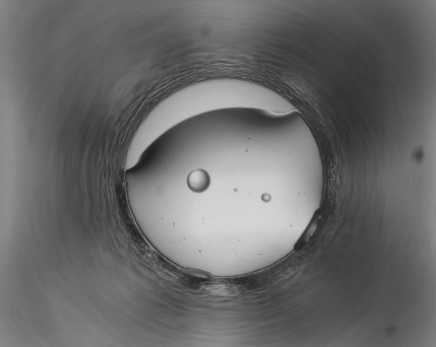 X0000116020221200912111359