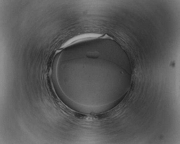 X0000116020223200912111359