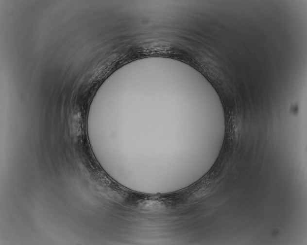 X0000116020224200912111359