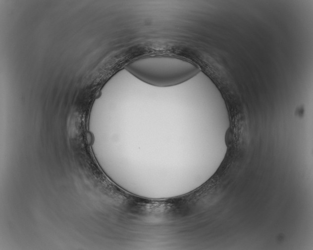 X0000116020225200912111359