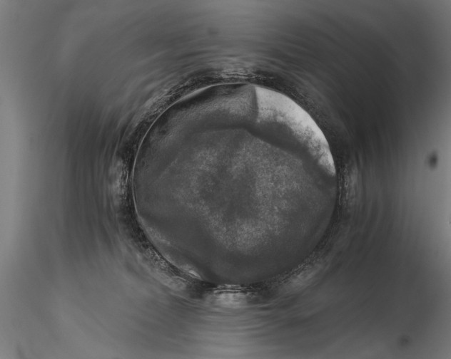 X0000116020228200912111359