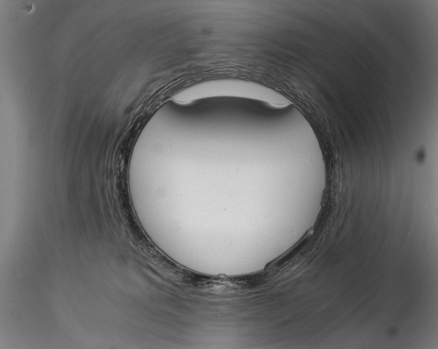 X0000116020229200912111359