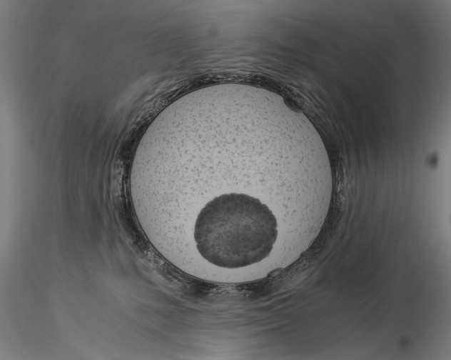 X0000116020231200912111359