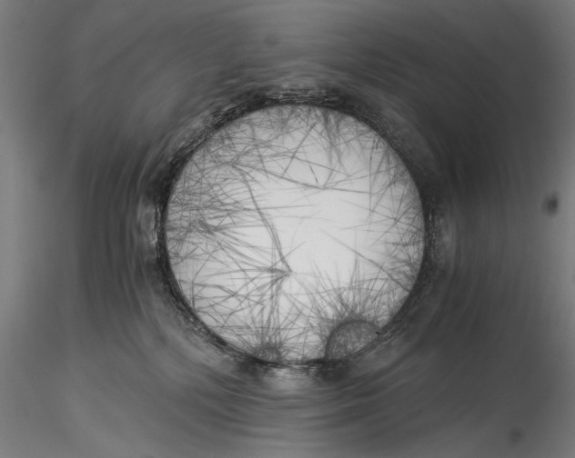 X0000116020232200912111359