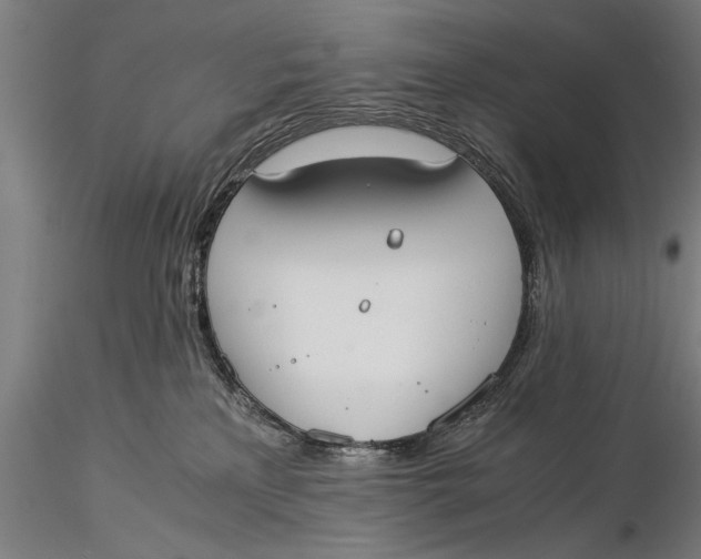 X0000116020233200912111359