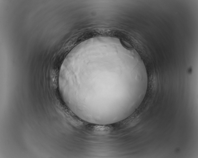 X0000116020234200912111359