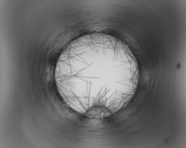 X0000116020236200912111359