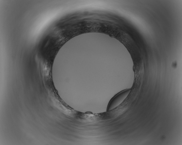 X0000116020239200912111359