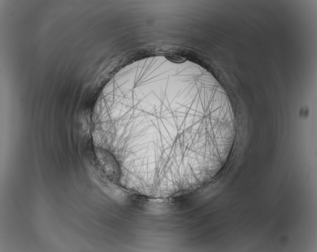 X0000116020240200912111359