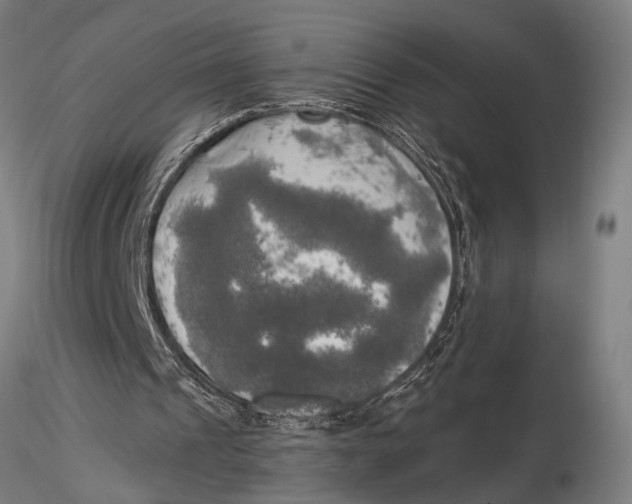 X0000116020241200912111358