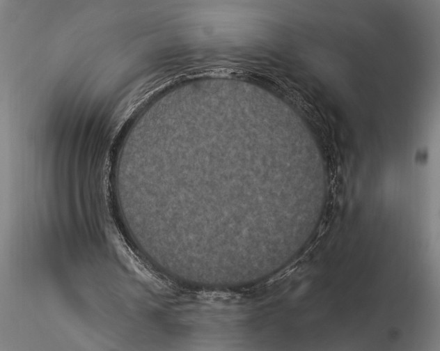 X0000116020242200912111358