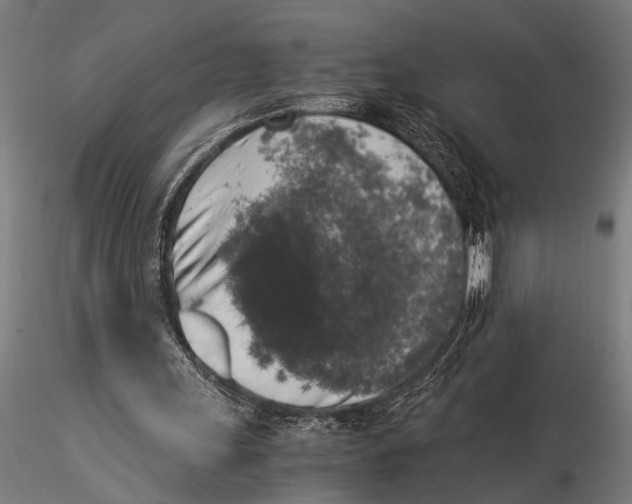 X0000116020243200912111358