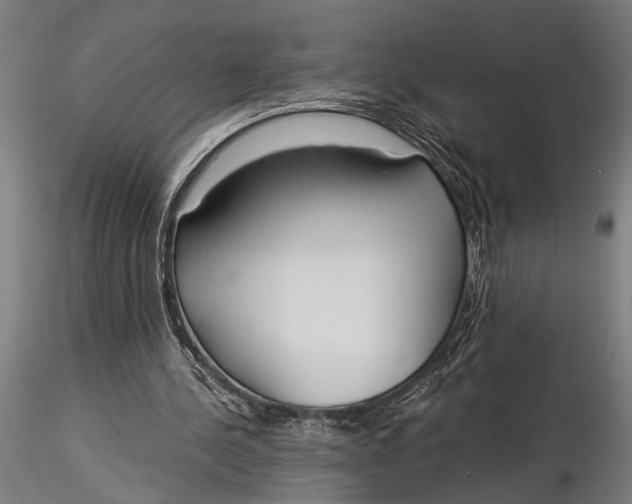 X0000116020244200912111358