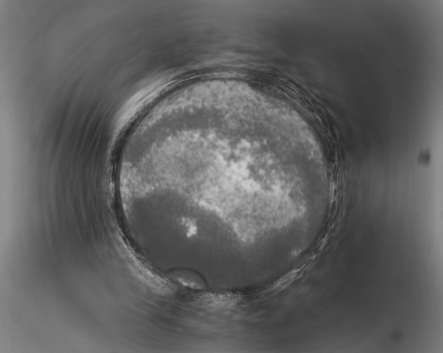 X0000116020245200912111358