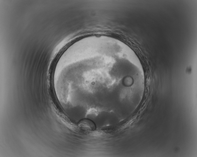 X0000116020246200912111358