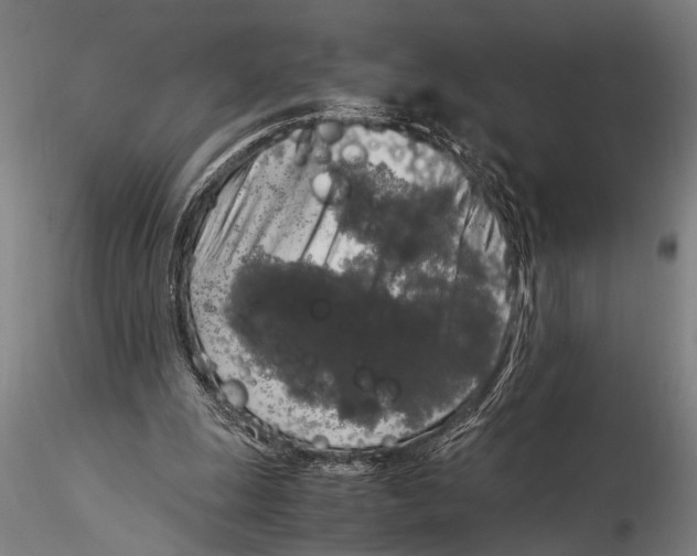 X0000116020247200912111358