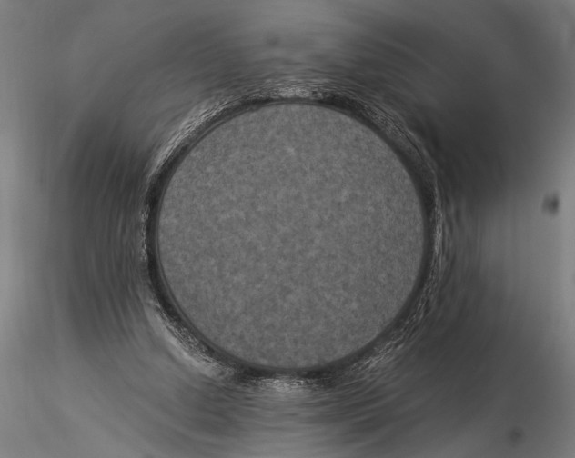 X0000116020250200912111359