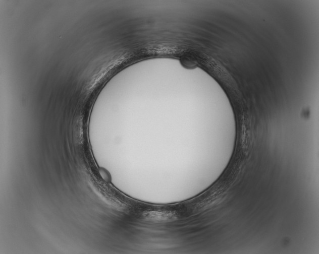 X0000116020251200912111359