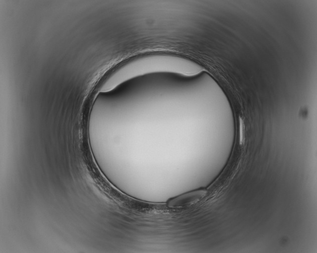 X0000116020252200912111359