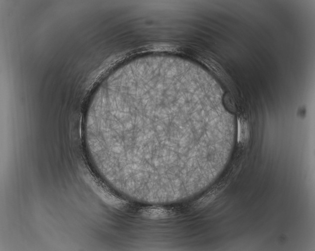 X0000116020253200912111359