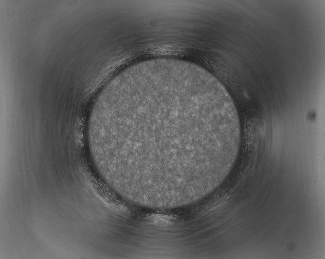 X0000116020255200912111359