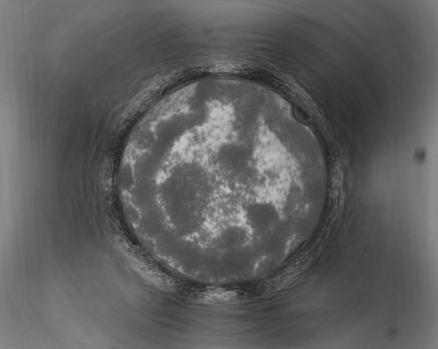 X0000116020257200912111359