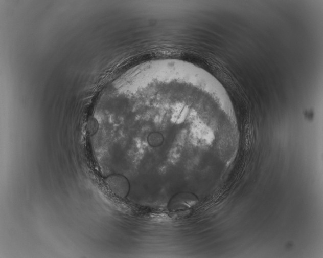 X0000116020259200912111359