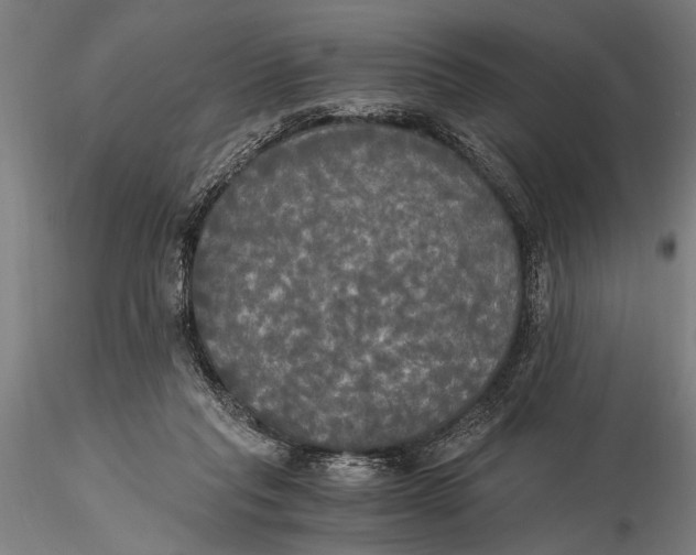 X0000116020261200912111359