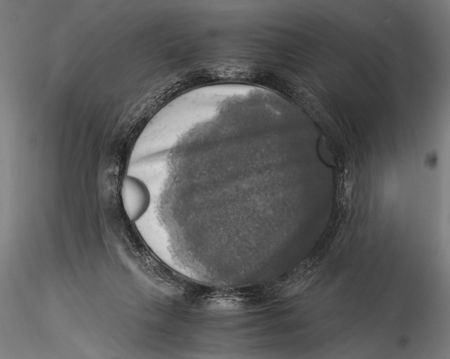 X0000116020263200912111359