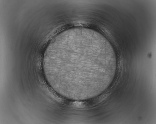 X0000116020265200912111359