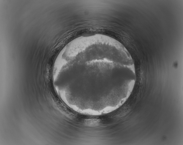 X0000116020266200912111359