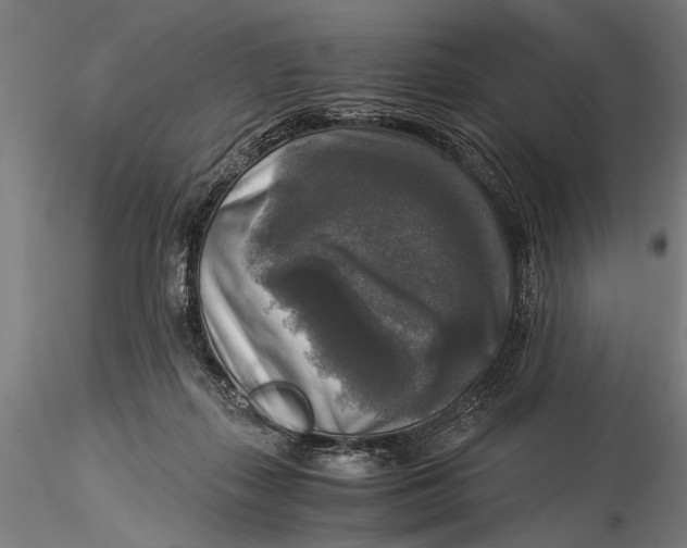 X0000116020267200912111359