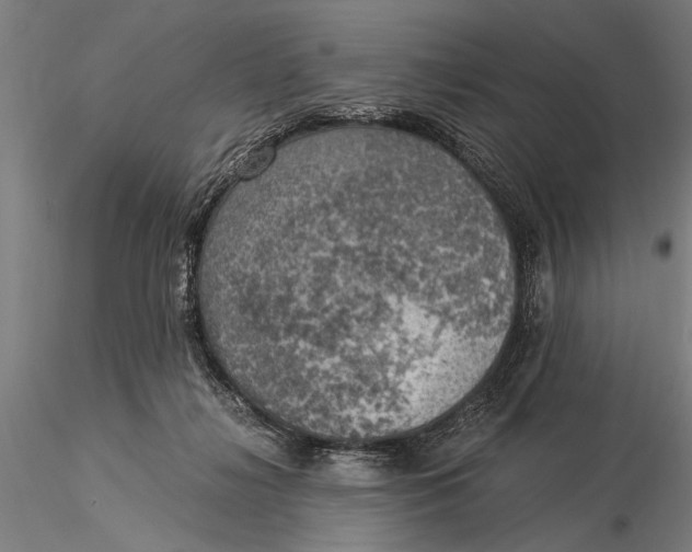 X0000116020268200912111359