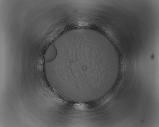 X0000116020269200912111359