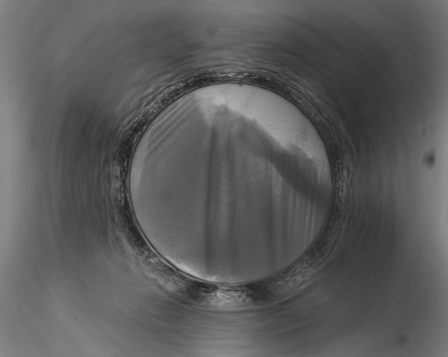 X0000116020270200912111359