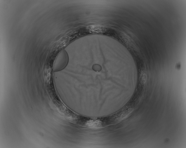 X0000116020271200912111359