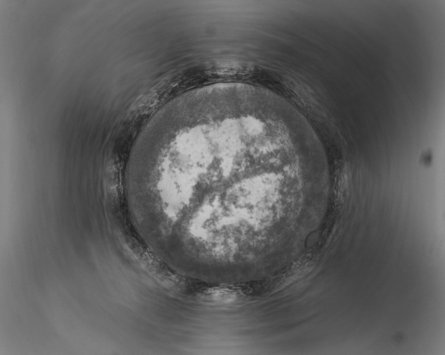 X0000116020272200912111359