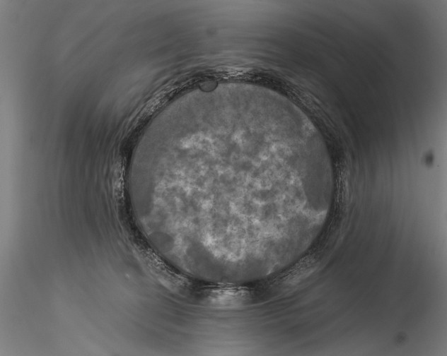 X0000116020274200912111359