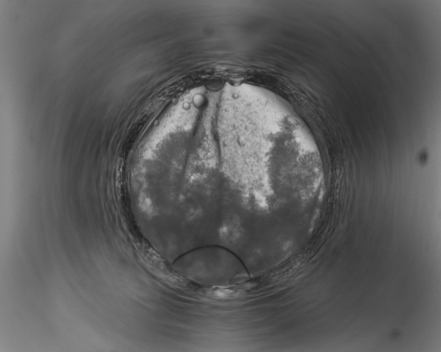 X0000116020275200912111359