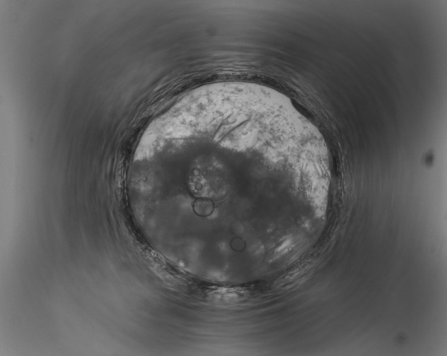 X0000116020277200912111359