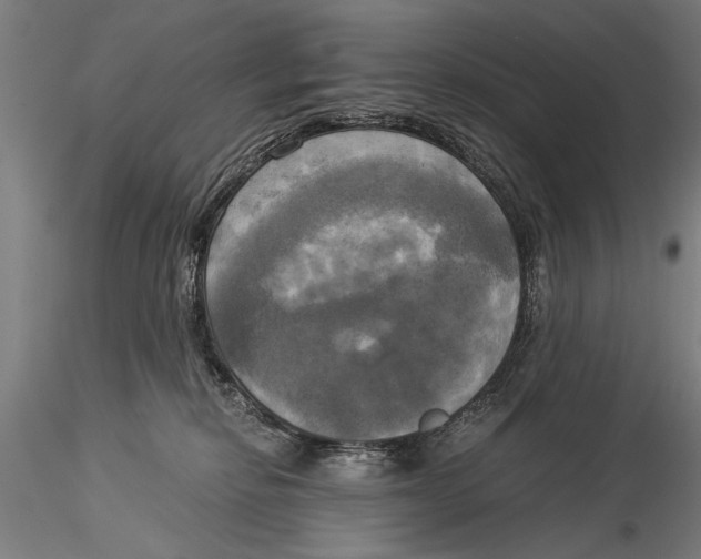 X0000116020278200912111359