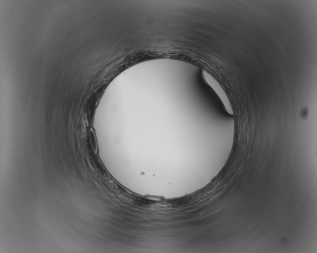 X0000116020279200912111359